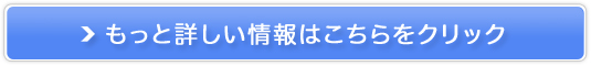 qA_̌{ORT~̗́yqAORz̔TCg